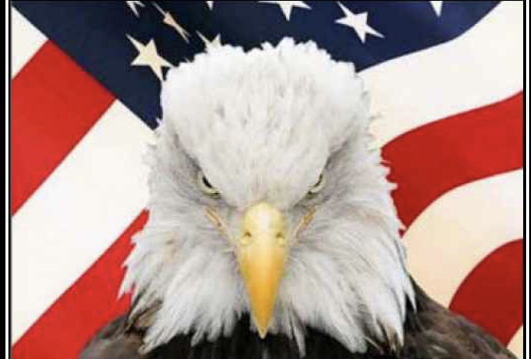 Domestic Terrorism. 
Republicans targeted. #WakeUpAmerica #Alexandria