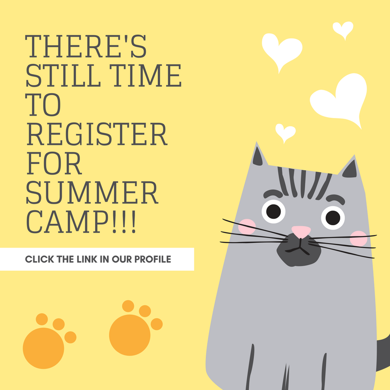 Pawsitively_Pet's tweet image. Looking for something for your littles to do in the summer? Summer camp registration is still open!!! #summercamp #torontokidsactivites #gta