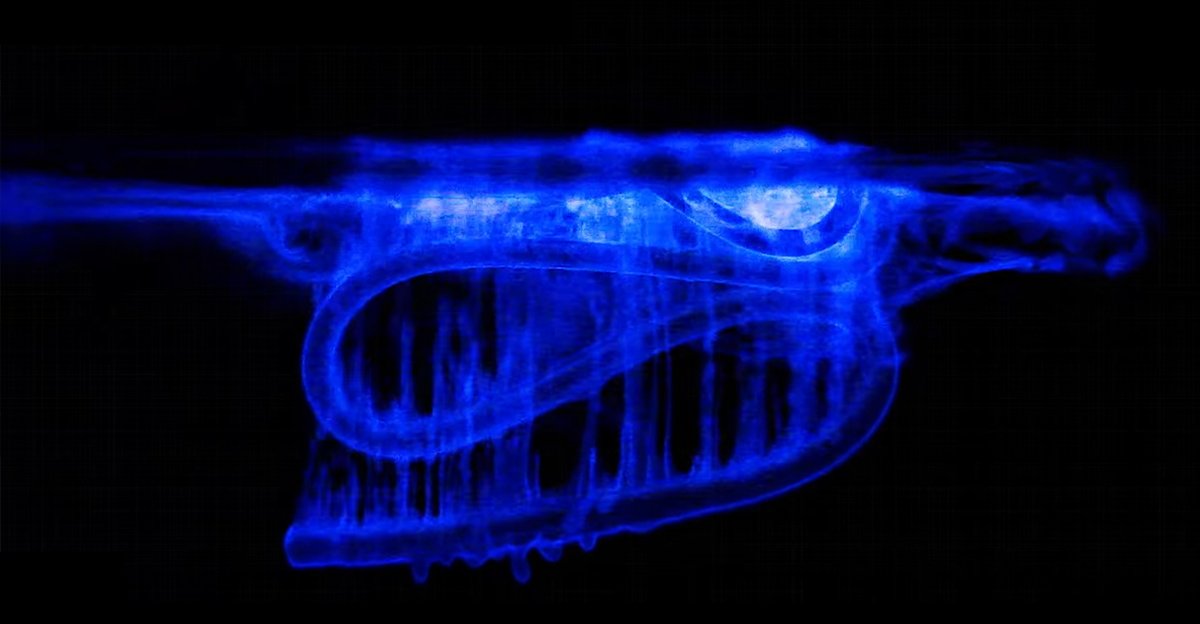 CodelcoLab's tweet image. ¿Iluminar con cobre? Mira el resultado de este increíble experimento
codelcolab.com/esp/noticia/52…