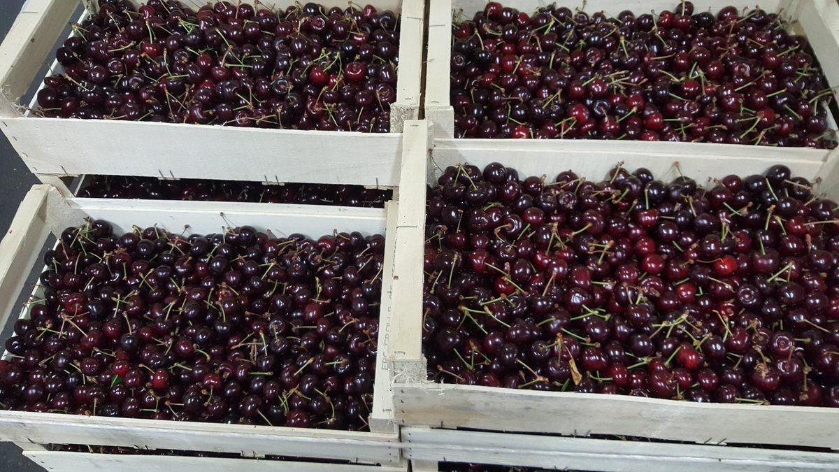 Chez #ProvincesBio au #MinNantes : Succombez pour nos savoureuses cerises bio Demeter et locales ! Faites-vite, stock limité ! 🍒🤪