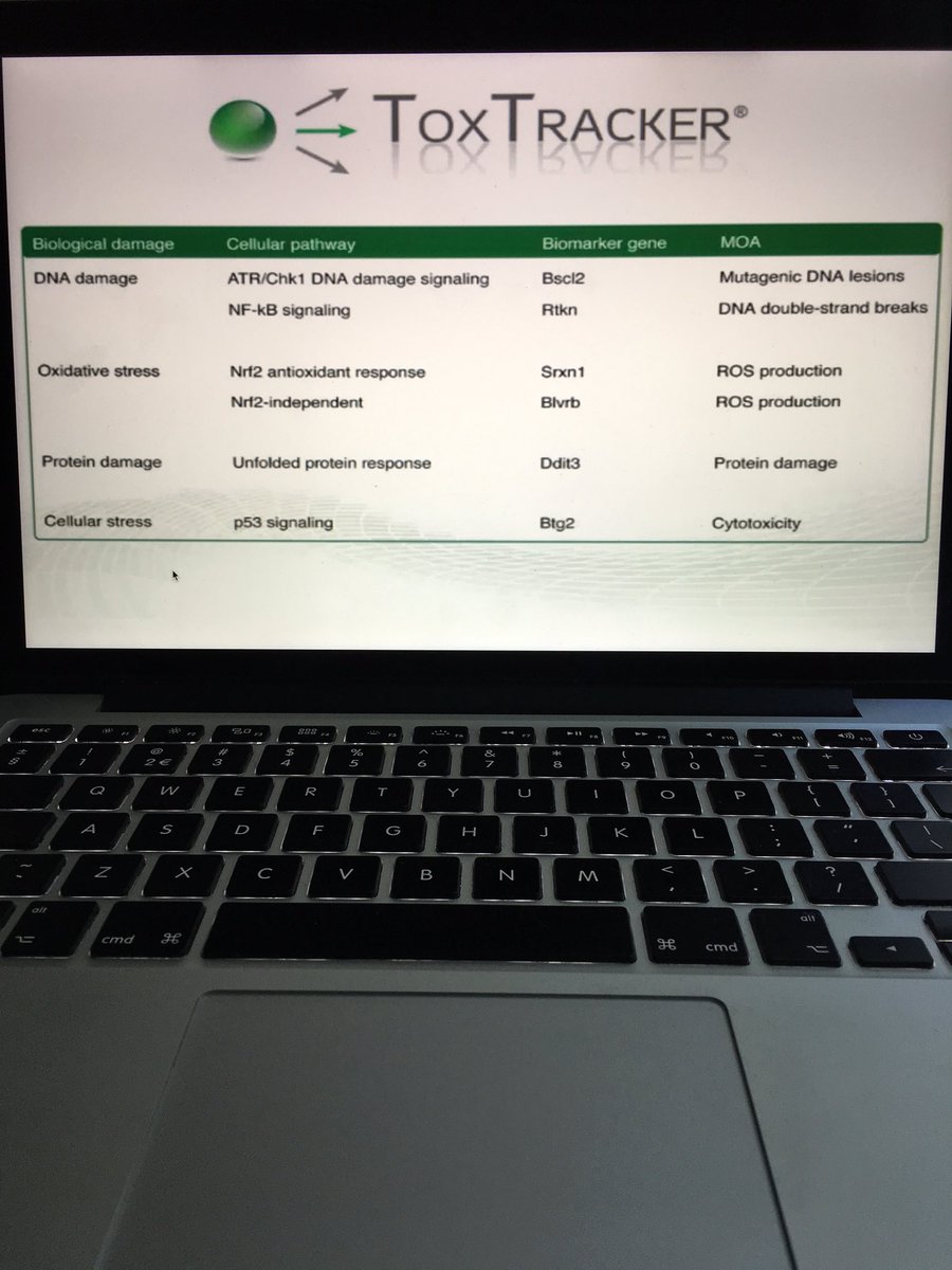 hollandbio's tweet photo. That's awesome, @Toxys_BV CEO Giel Hendricks explains the #ToxTracker during the @nature webcast! #biotechinthespotlight https://t.co/V3lDIMvaWZ