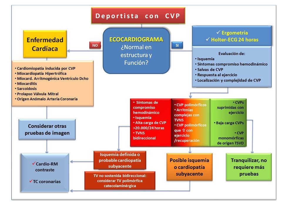 JoseJuanatey's tweet photo. @secardiologia a cuantos ayudaría este algoritmo!! Se hacen tantas cosas innecesarias en deportistas y además se alarma si necesidad! https://t.co/kB3jXFeLE3
