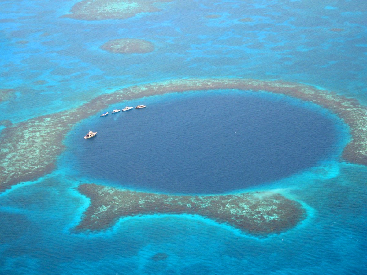 Blue_Parallel's tweet image. Diving the Great Blue Hole is only for the adventurous; 354' deep and packed with schools of Caribbean Reef Sharks! #blueparallel #shark