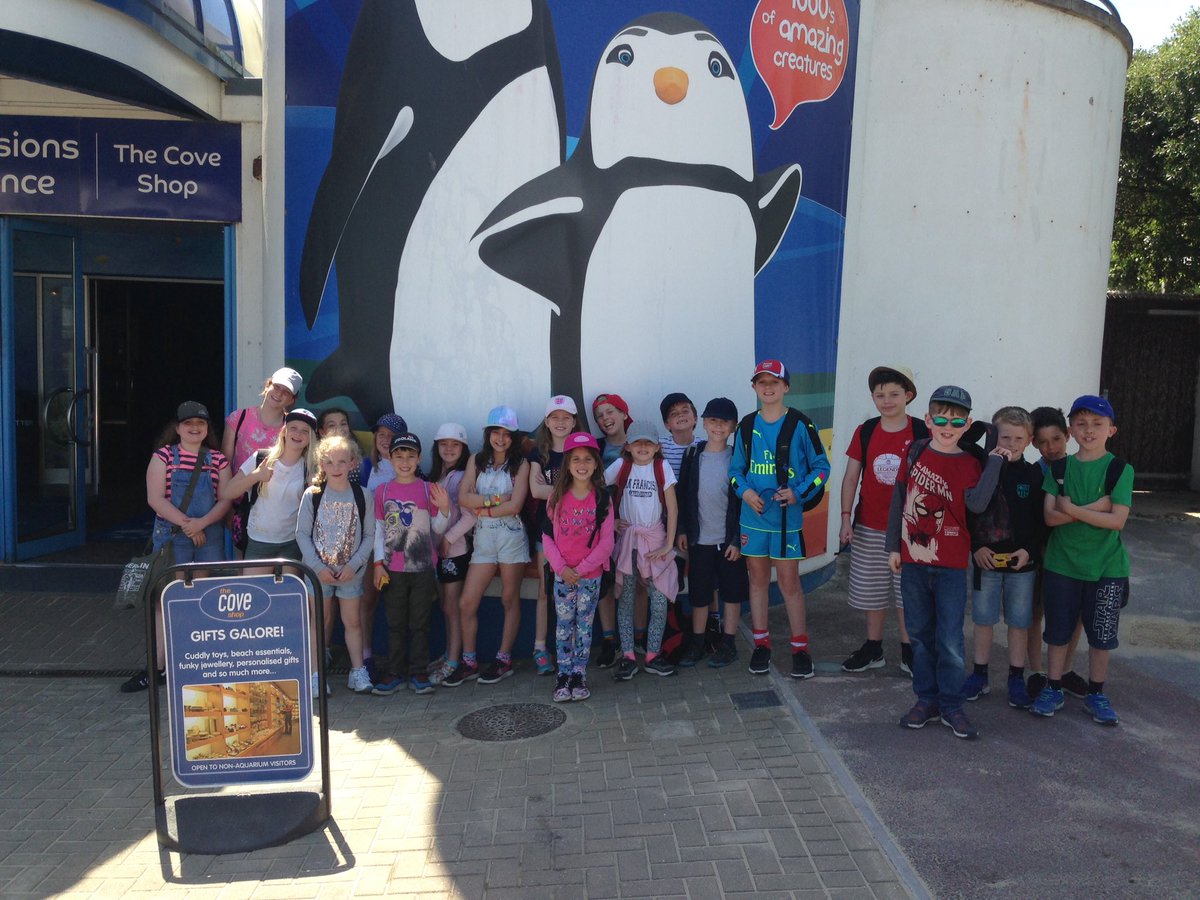 diversityPPS's tweet photo. Bournemouth Oceanarium... there was definitely something fishy going on here! https://t.co/rVaM4EpYek