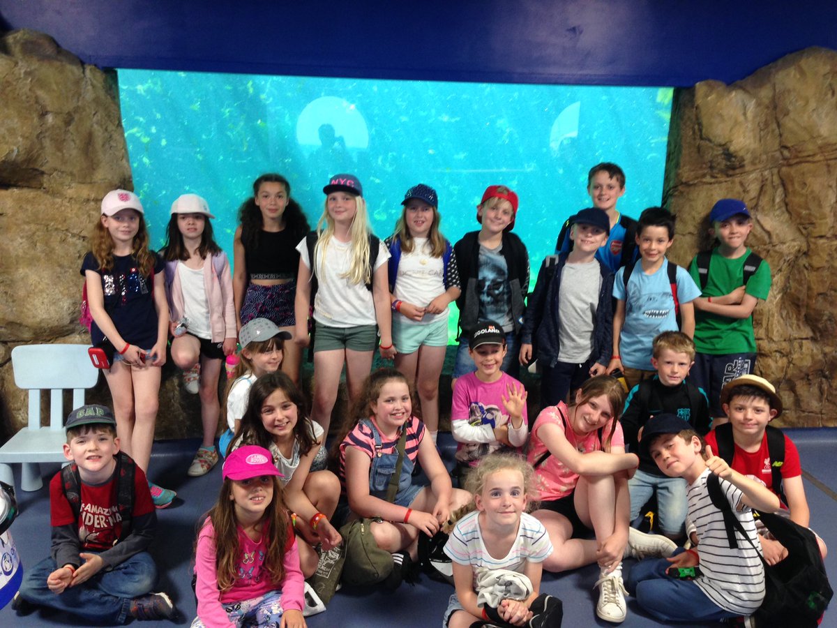 diversityPPS's tweet photo. More oceanarium pictures! https://t.co/j5H9RcvXB6