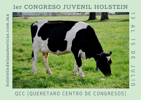 Holstein Américas tweet media