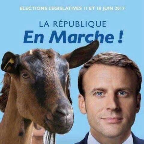 NoFilter_now's tweet photo. Dimanche votez #Chavroux, un troupeau de près de 400 têtes pour vous représenter #legislatives2017 #Macron @lesRepublicains #LR #EnMarche https://t.co/mQVWKBNIDk