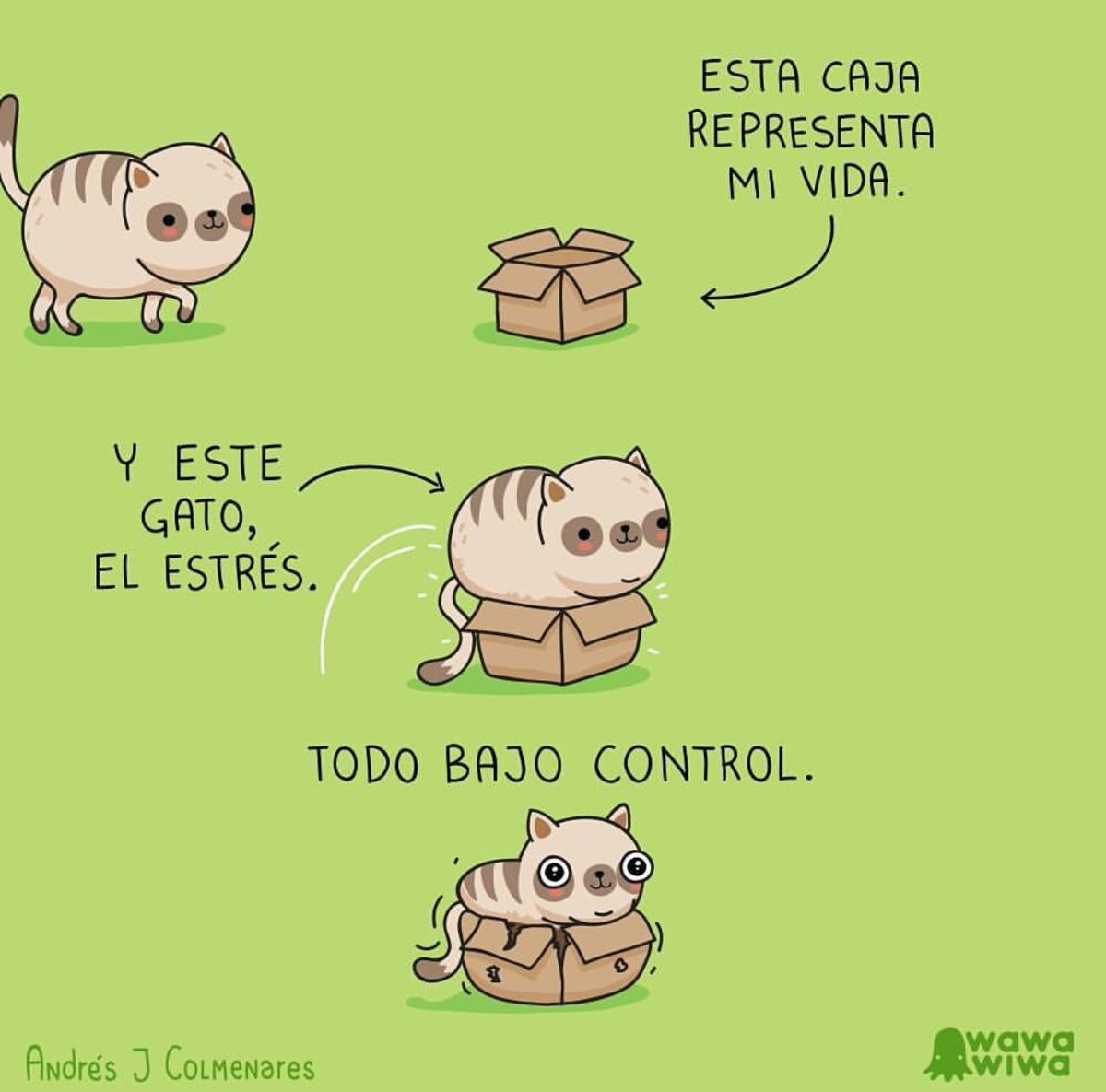d4v1n14's tweet image. Esta caja representa mi vida y este gato soy yo! 😂😂😂😂 #miau #underthecontrol