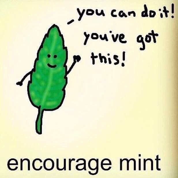 Caron_hare_ww's tweet photo. This made me laugh far to much #Motivation #weightwatchers https://t.co/5Yg07WjyR1