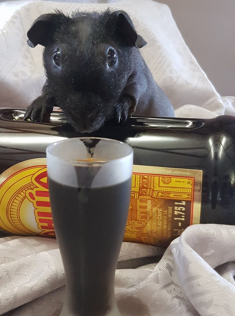 kimsouthcombe's tweet photo. it wasn't me #MyMessageInABottle https://t.co/OfqxbJILcQ