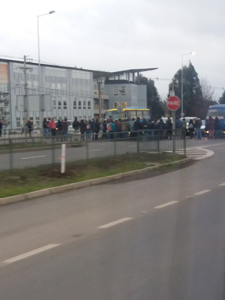 romywolf151's tweet image. en estos momentos frente la universidad de los lagos @paislobo