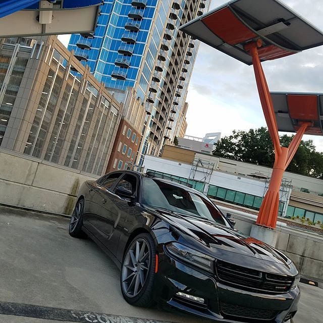 ruff_wheels's tweet photo. My phone needs battery can i use your charger ?🔌🔋📲 Owner @robert_jar
#Charger #RuffWheels #RUFF https://t.co/erZXUtOfTC https://t.co/eMZ2q5Nibd