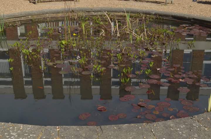 jackiecassell's tweet image. @SussexUni a great place for research - targeted investment @SSRP_UoS #PumpPriming, #interdisciplinary ethos @RuddCentre @SussexUniRQI