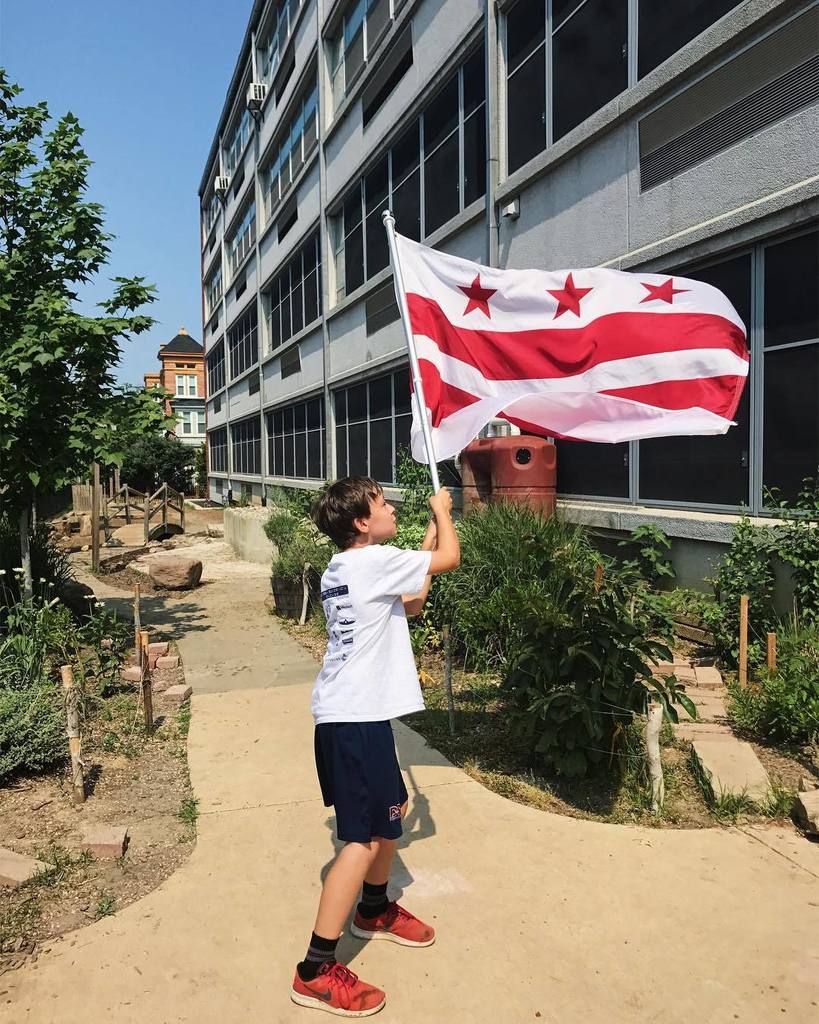 TheMadameMeow's tweet photo. Standardbearer #dcflagday #ward6 #dcchildhood #acreativedc #friendsinmyfeed #friendsofmykidsinmyfeed .
.
#walkwit… https://t.co/DQDMpQCT4G https://t.co/WIlQKwOKwX