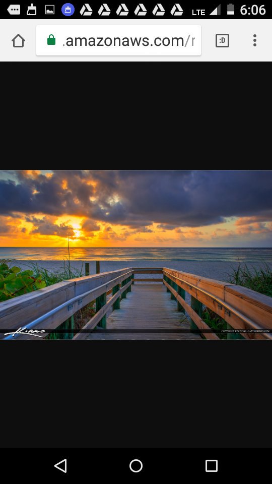 Swamp Yankee Frink tweet media