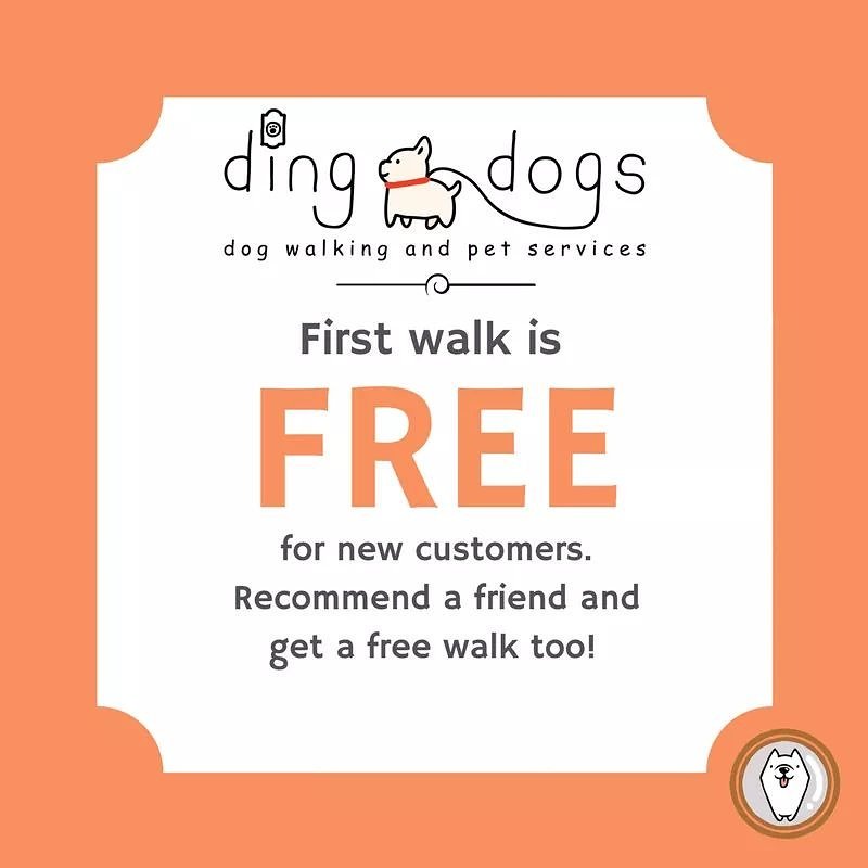 dingdogslondon's tweet photo. Bit of an offer on at the moment! #dogwalking #westlondondogs  #newoffer #dogcare https://t.co/QOQiVmdgpB