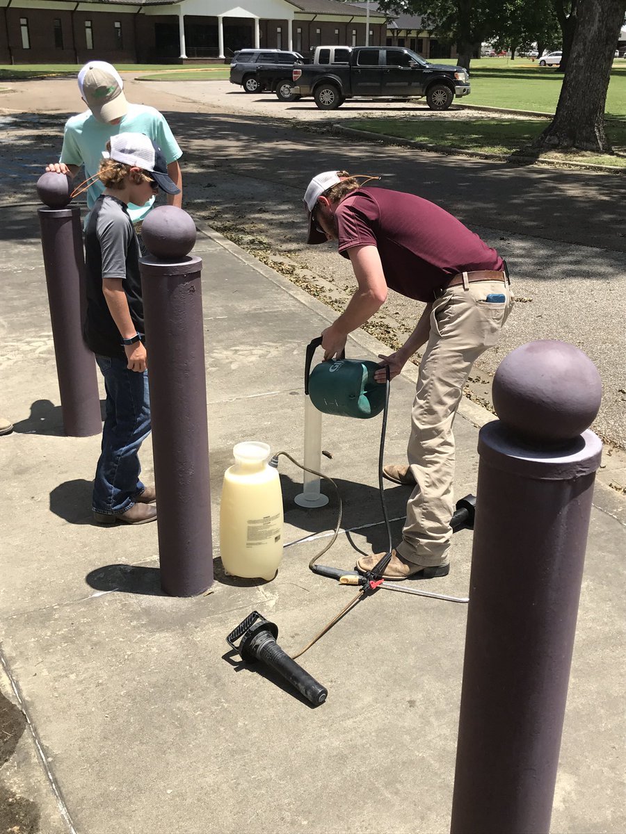 Craig Hankins tweet media