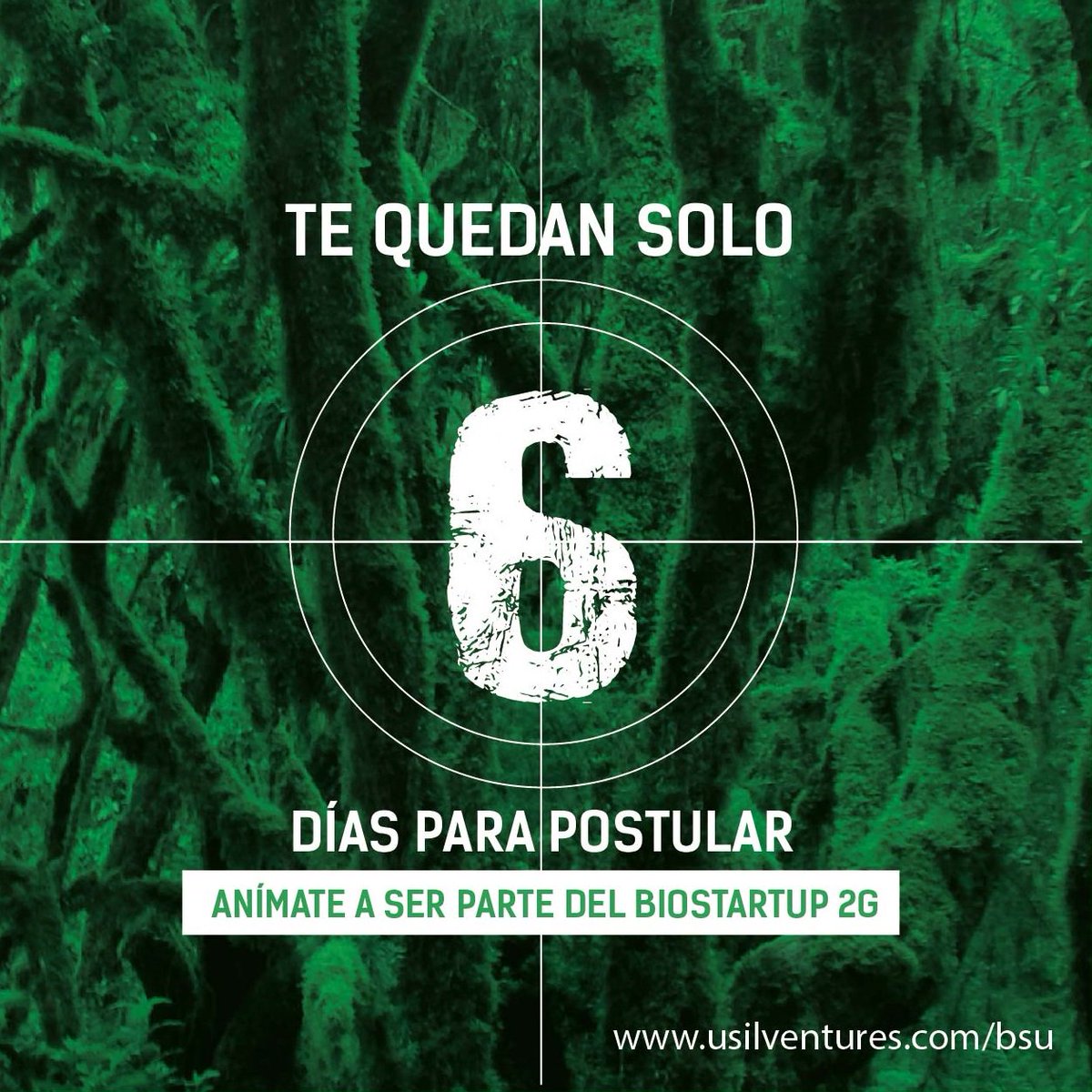BioStartupUSIL's tweet photo. Termina YA tu postulación.

¡Te quedan 6 días!
Descarga las bases https://t.co/Ai3nVFeX7C Postula: https://t.co/ifntwOxvUU
#BSU2G #PBA https://t.co/b7A2gQZsai