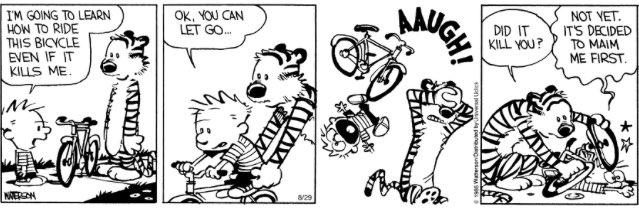 Calvin And Hobbes