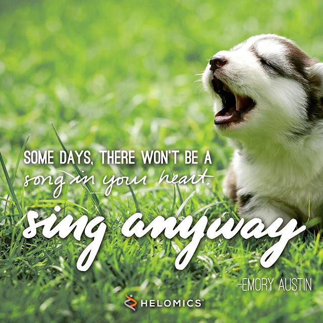 Helomics_'s tweet image. Happy Wednesday! Remember to enjoy every day like it is your last! #midweekmotivation #helomics