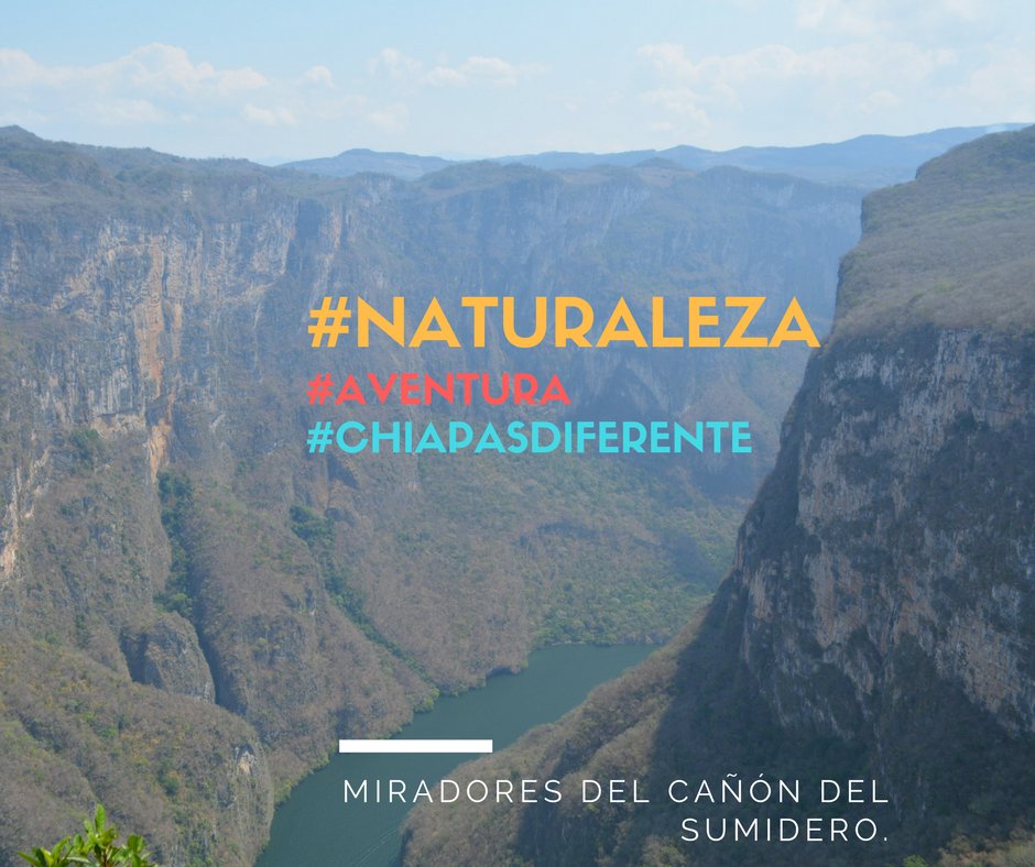 ECOEXPERIENCIAS. CHS tweet media