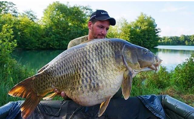 UltimaCarp's tweet photo. Italian Carper Stefano Frutti with a awesome 19.8Kg Common using 18lb Power Carp Anvil Lead-core 25lb Flaccid hook-length.#ultimacarp #line https://t.co/k0NaEsrotU