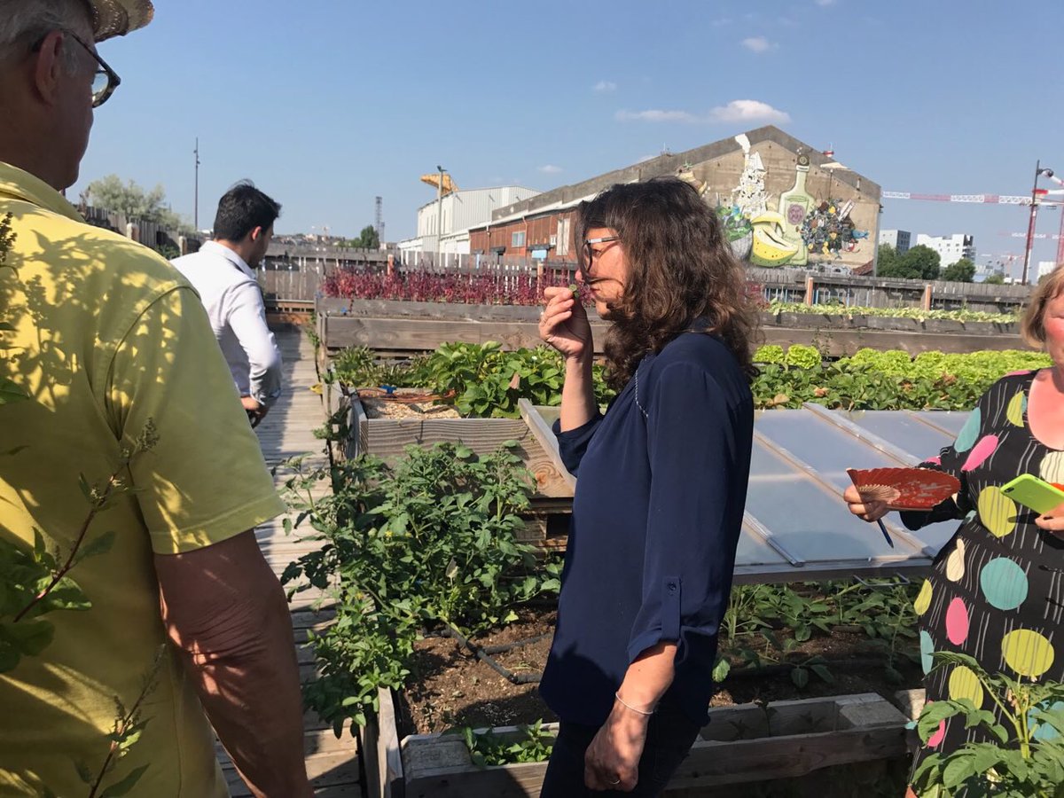 valerie_oppelt's tweet photo. L'agriculture urbaine au coeur de notre journée,avec la visite d'une exploitation maraîchère &amp; l'Atelier du Potager de la Cantine #circo4402 https://t.co/Hlo4Pg1YQq