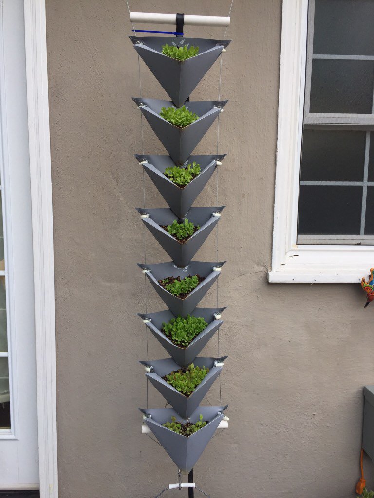 verdeveil's tweet photo. #hydroponics with #origamiwallplanters growing lettuce https://t.co/JcbNhars4B