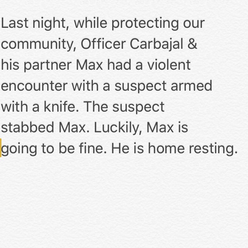 SanDiegoPD's tweet photo. Our thoughts are with Officer Carbajal &amp; K9 Max. We are glad both are going to be o.k. See below for details. https://t.co/6cdfJ31HbO