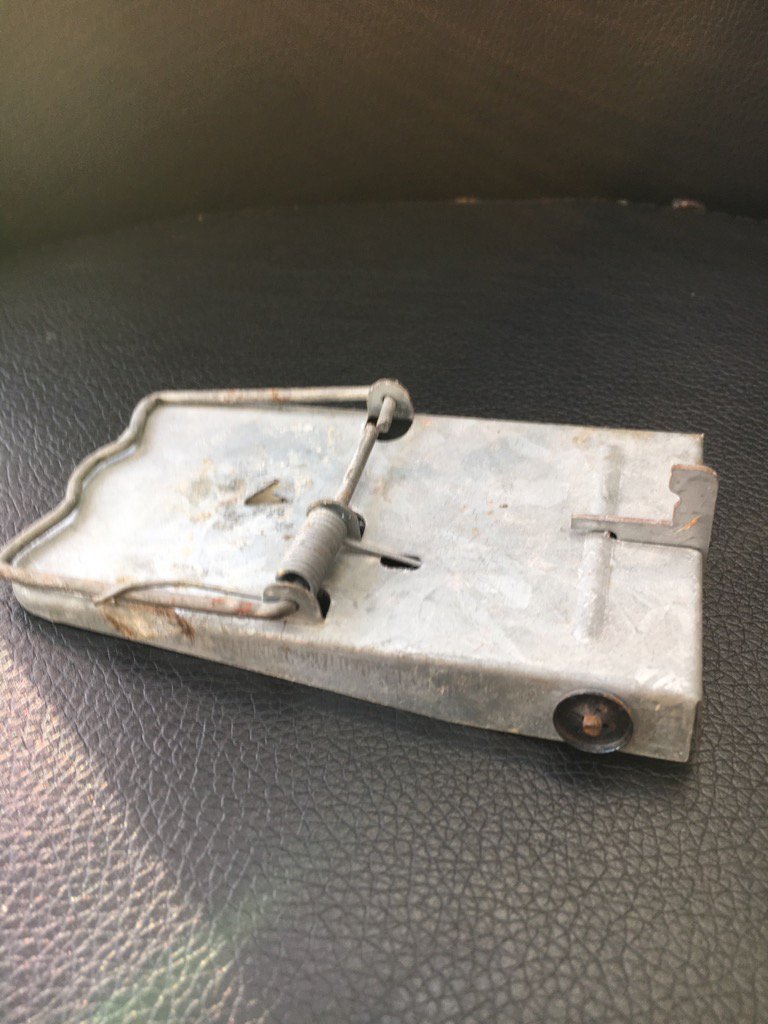 ourkid_egghead's tweet photo. Phase 1 of project #ratcatching https://t.co/1Vs6xNwZrV