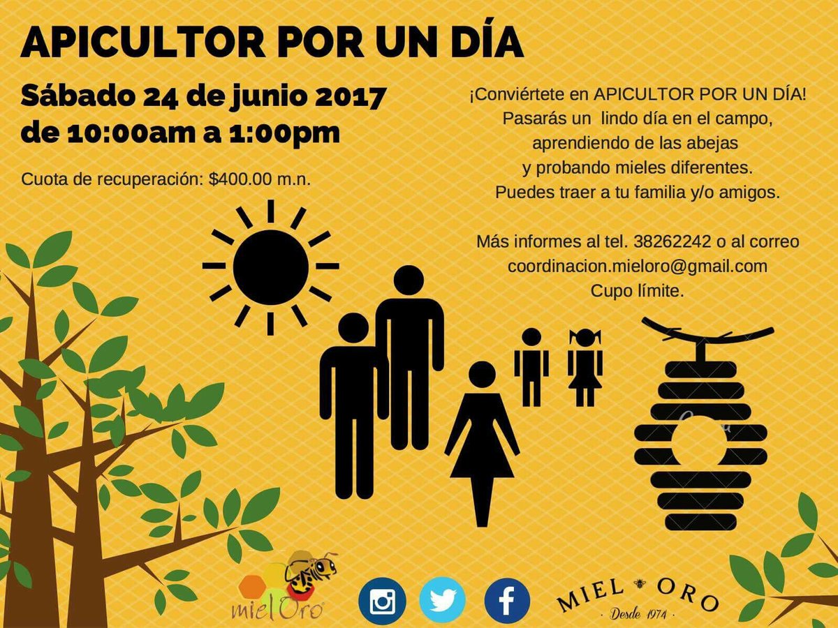 miel_oro's tweet photo. ¿QUIERES SABER SOBRE LAS ABEJAS? Únete con nosotros a "Apicultor por un Dia"! Tenemos algunos lugares!
#bees #honey #fun #family #friends https://t.co/DCjYsfiIEd
