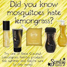 casingqueen's tweet image. Order going in tonight! Last call to save shipping if you’re local! ow.ly/SDDj30cAXC3