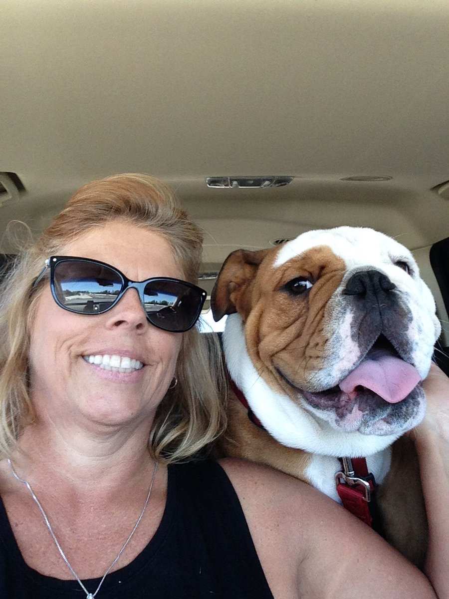 xoxosusanb's tweet photo. When grandma &amp; grandpa pick you up and take you to the beach 🐶😃🌊☀️ https://t.co/b6qWYIatMd
