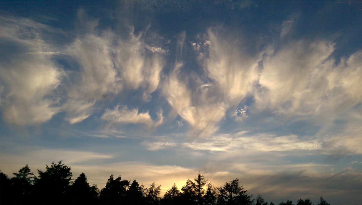 walkswithjo's tweet photo. It was lovely being on Dartmoor as evening fell this evening. https://t.co/6jtwcYWgsw