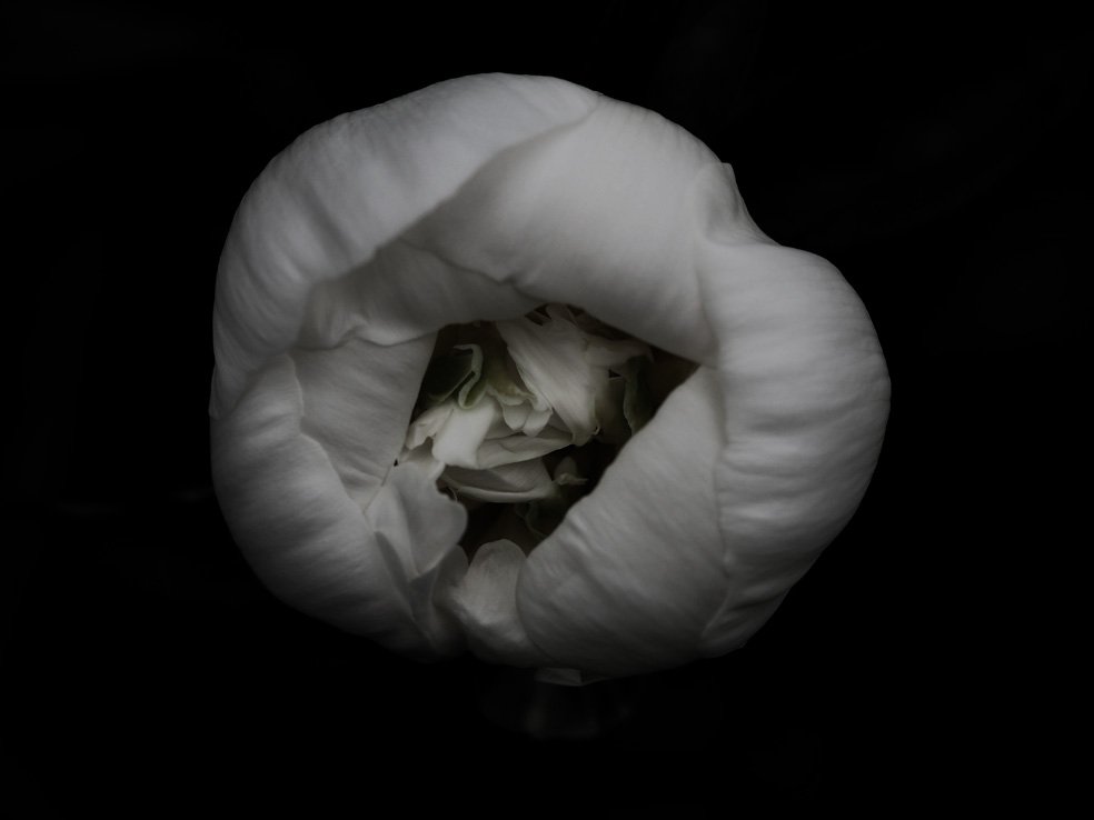 ambientabbot's tweet photo. yesterday, and today... https://t.co/aLeJ7aXkvj
