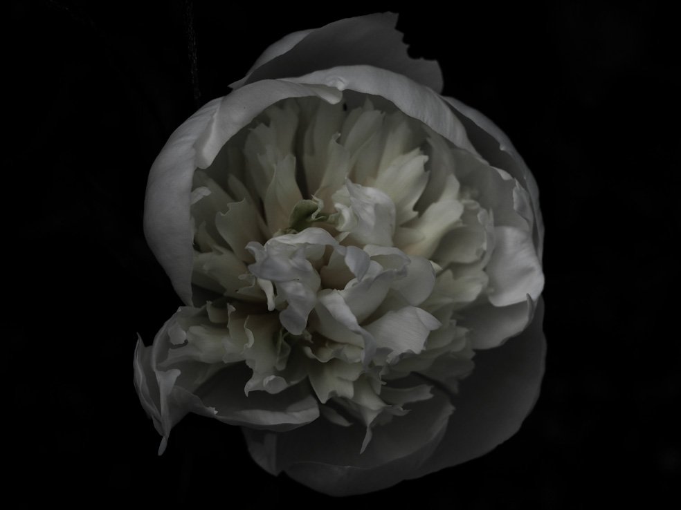 ambientabbot's tweet photo. yesterday, and today... https://t.co/aLeJ7aXkvj
