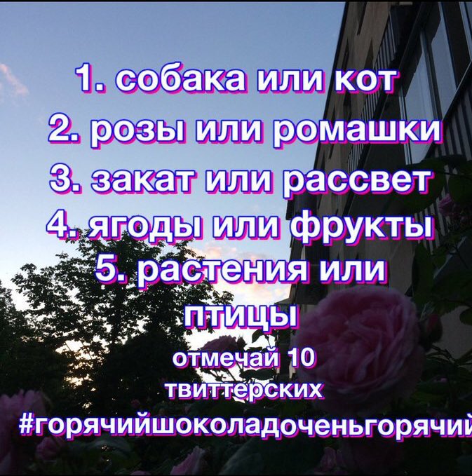 FuckingLadyIs's tweet photo. От @sad_sophia_k 
1.Котики
2.Розы
3.Рассвет
4.Ягоды
5.Блен,не знаю
#горячийшоколадоченьгорячий
@capswantory  @Zinagrey  @pidar_killi https://t.co/ZrveLPjYGe