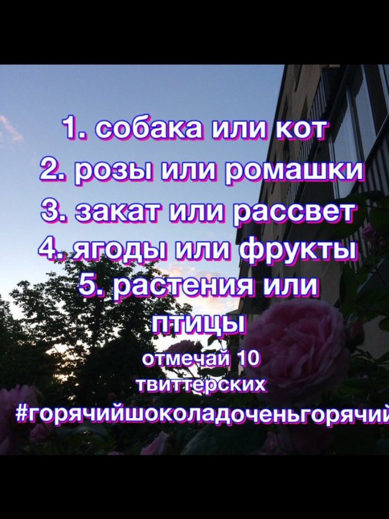 Zinagrey's tweet photo. От @FuckingLadyIs 
1.собака
2.ромашки
3.закат
4.ягоды
5.растения
#горячийшоколадоченьгорячий https://t.co/bFah8YROq7
