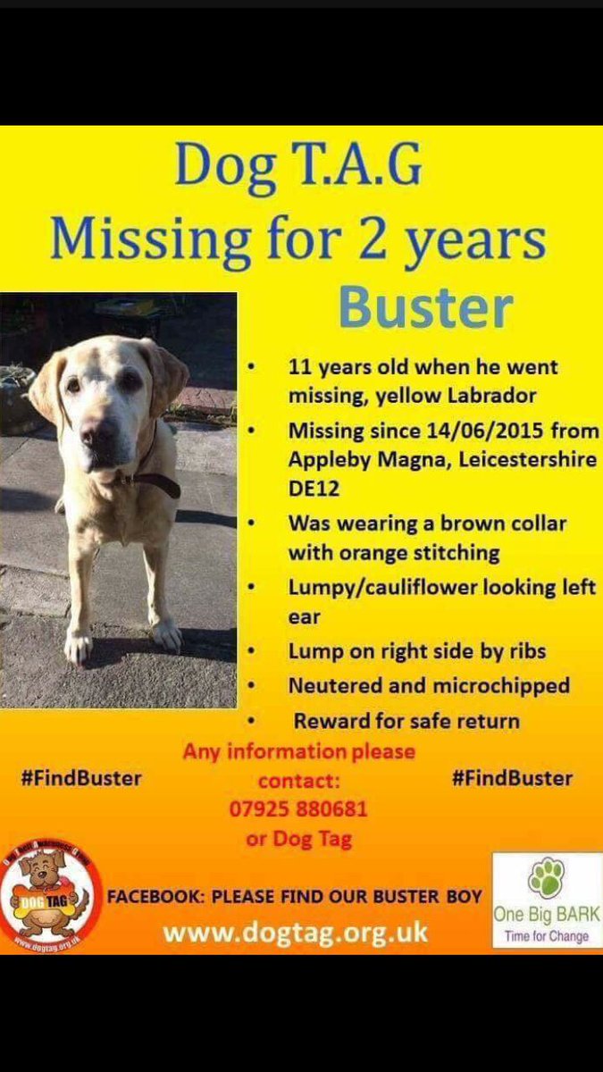 Sal Stewart (@sallyst83540181) on Twitter photo <a href="/PeterEgan6/">Peter Egan</a> Please could you share - My pals dog Buster, missing 2 years today #labrador #FindBuster <a href="/Findbuster/">Help Find Buster</a> ๐พ๐พ youtu.be/VTMKLMEvw2s <a href="/PeterEgan6/">Peter Egan</a> Please could you share - My pals dog Buster, missing 2 years today #labrador #FindBuster <a href="/Findbuster/">Help Find Buster</a> ๐พ๐พ youtu.be/VTMKLMEvw2s