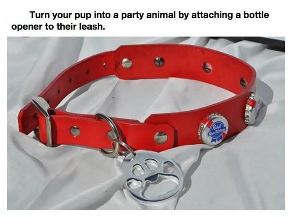 GoPetgopet1's tweet image. #PetHack - Too funny!