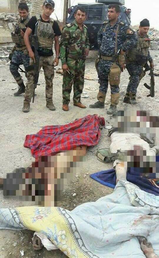 Hashd_Shaabi_iq's tweet photo. بالصور | جثث عناصر تنظيم #داعش الارهابي الذين تم قتلهم من قبل القوات الامنية العراقية بعد استدراجهم الى منطقة الدندان بايمن مدينة #الموصل https://t.co/XUILCUgXDT