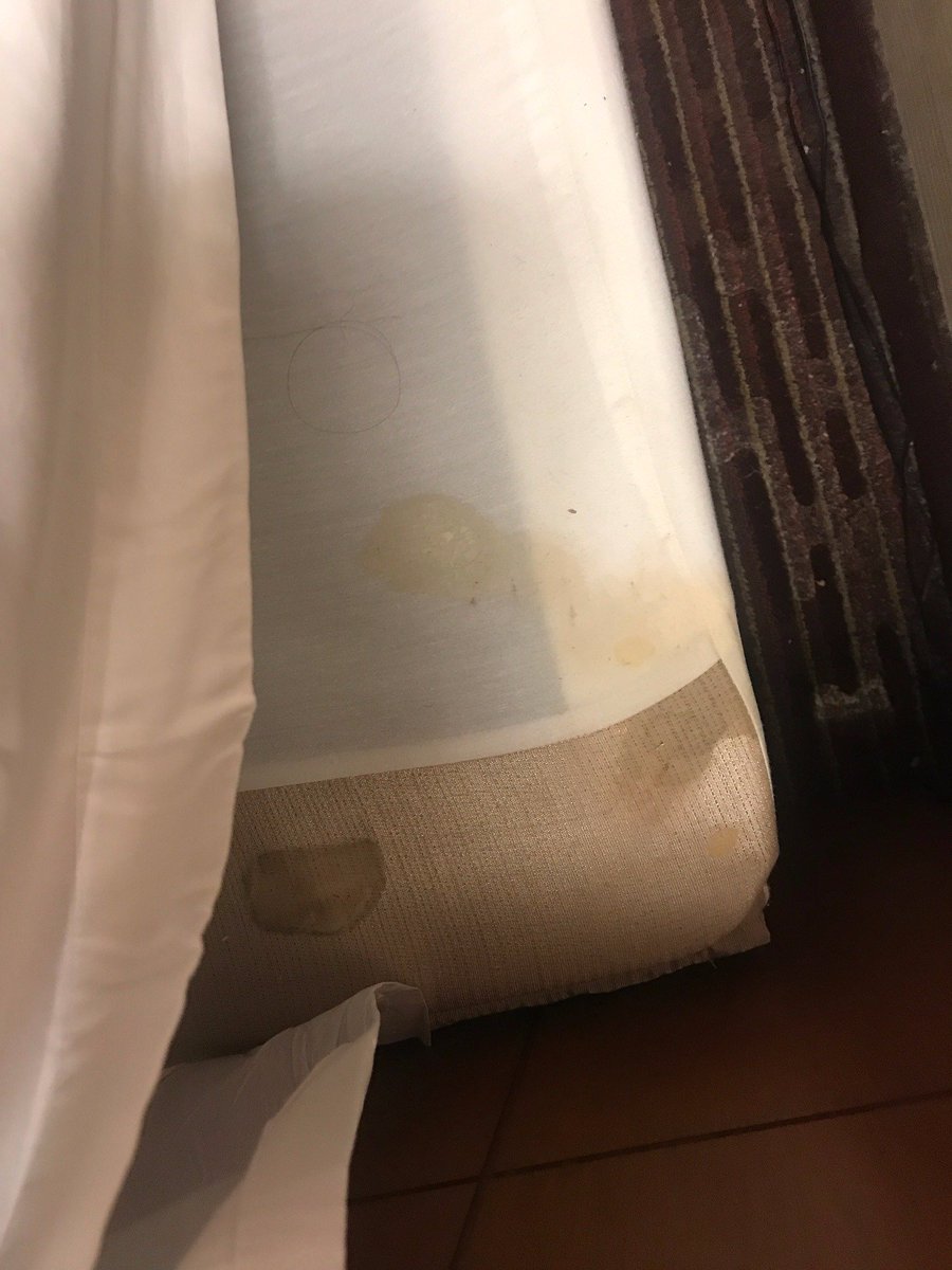 KSTiger05's tweet photo. Disappointed in @ClubQuarters Philly. Left due to disgusting mattress/carpet &amp; bug bites. Can get no one to help me. Never staying again. https://t.co/jE5x5JZmxr