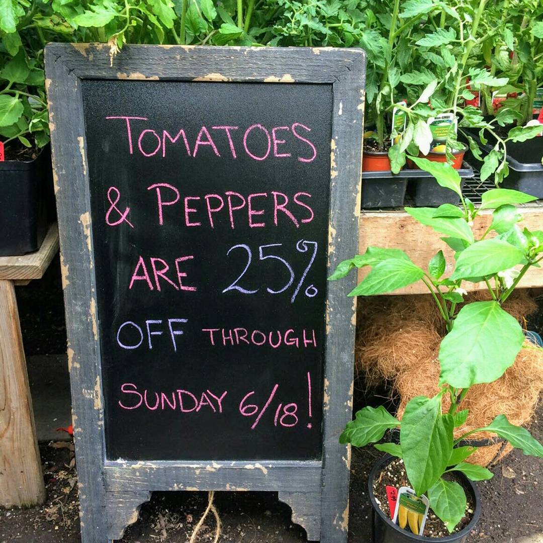 Peppers and Tomatoes are 25% off NOW thru 6/18/17!! 🍅🌶

#urbanearthnursery #pepper #tomato #growyourown #growyourownfood #buylocal #seattle