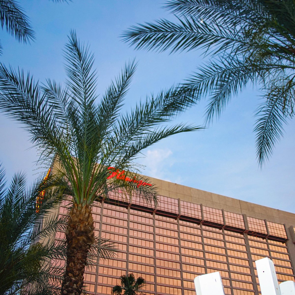 FlamingoVegas's tweet photo. Hang out before you go out at our beach club at night every Wednesday 7pm-12am!
Drink specials, entertainment and more.ππββοΈ #BCNight https://t.co/eyHkoBwhba