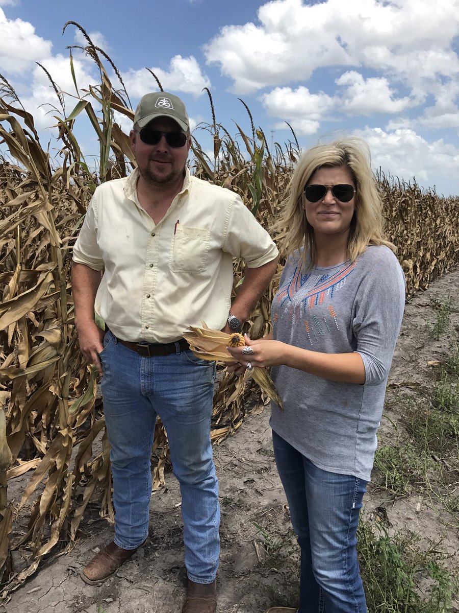 GibsonTXCorn's tweet photo. 10 days from Harvest#2017. Jim Sugarek at Mathis Texas with #TCPB Lauren Prine https://t.co/xNlt1OE9Tt