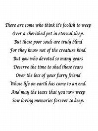 Debi_Boop's tweet photo. @_EasyBreasy_ #MyDeepestSympathy😰💔🐾😭To You+#Cookie on your loss of #Stitch
May he #RIP+May #Cookie find peace after the loss of a #BFF
#OTRB #RIPStitch https://t.co/jUGiH0BsHH