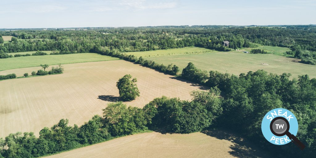 SNEAK PEEK | Land ahoy! Two big &amp; beautiful Guelph #Eramosa lots ready to build your dreams upon. <a href="/TW_NicDavidson/">Nicole Davidson</a> has the full scoop