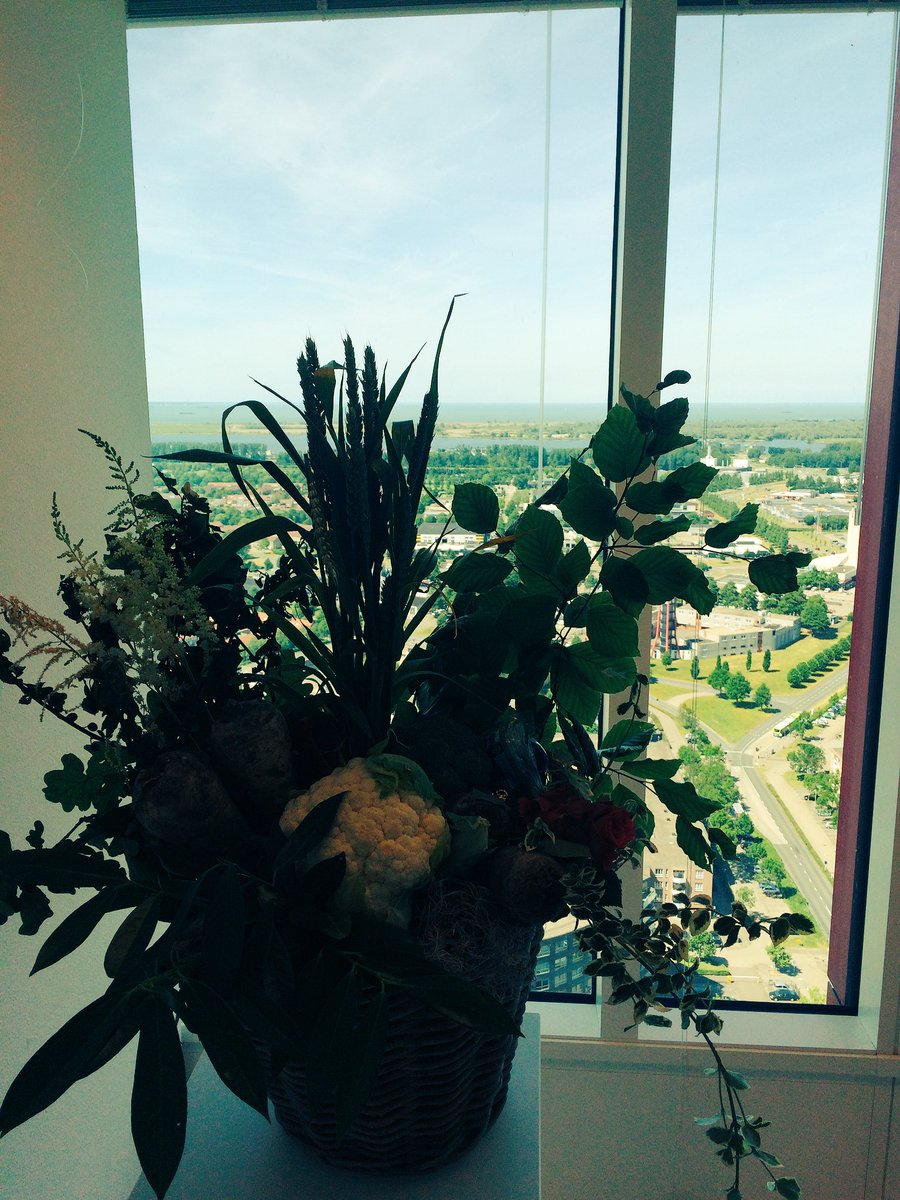 Symposium 20 jaar BVERF gehouden 'on top of the world' in WTCAlmere: vooruitkijken naar wonen+nieuwe natuur+samenleving+zeker ook landbouw