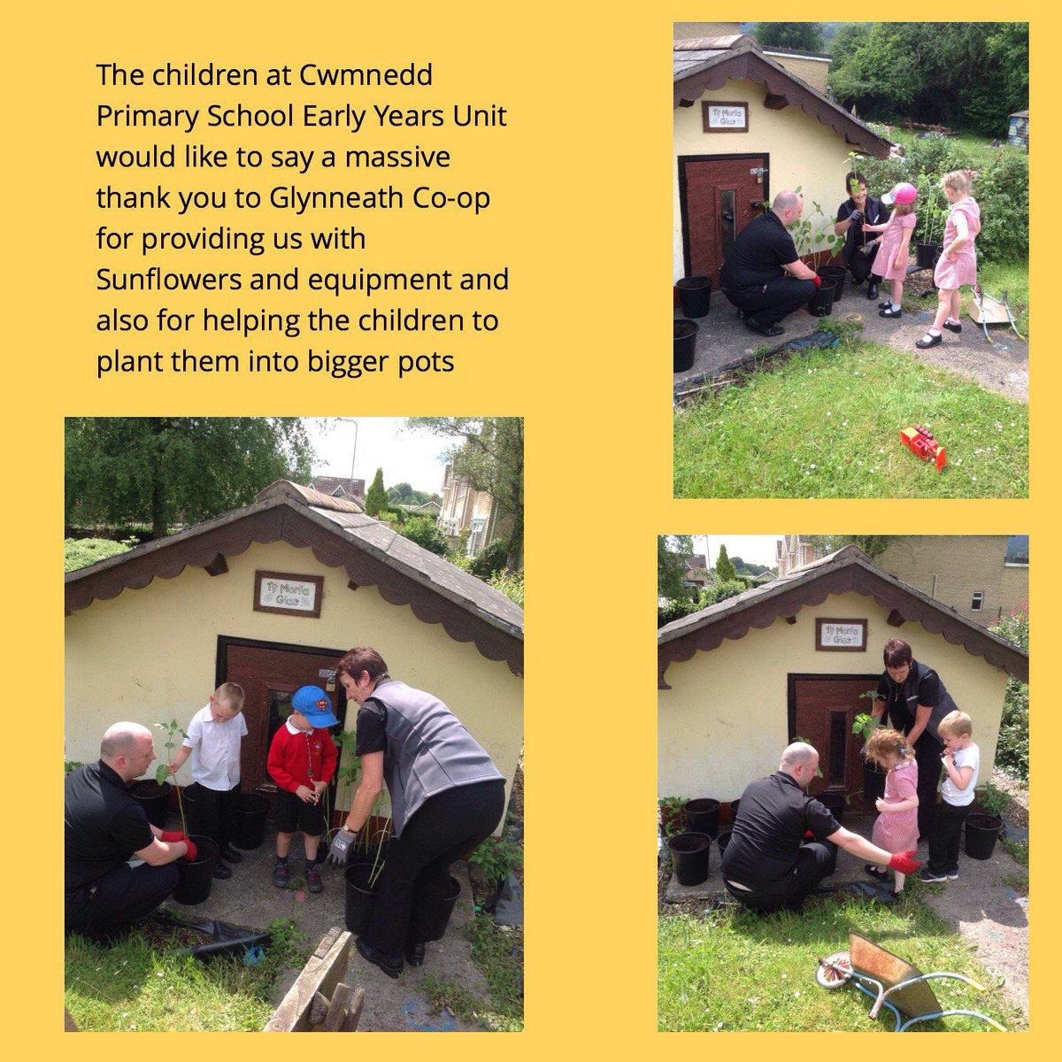 CwmneddPrimary1's tweet photo. Thank you very much to Glynneath Co-op @coopuk for our Sunflowers we promise to look after them and will keep you updated 🌻 #morfaglas https://t.co/sphvRv6Y3m