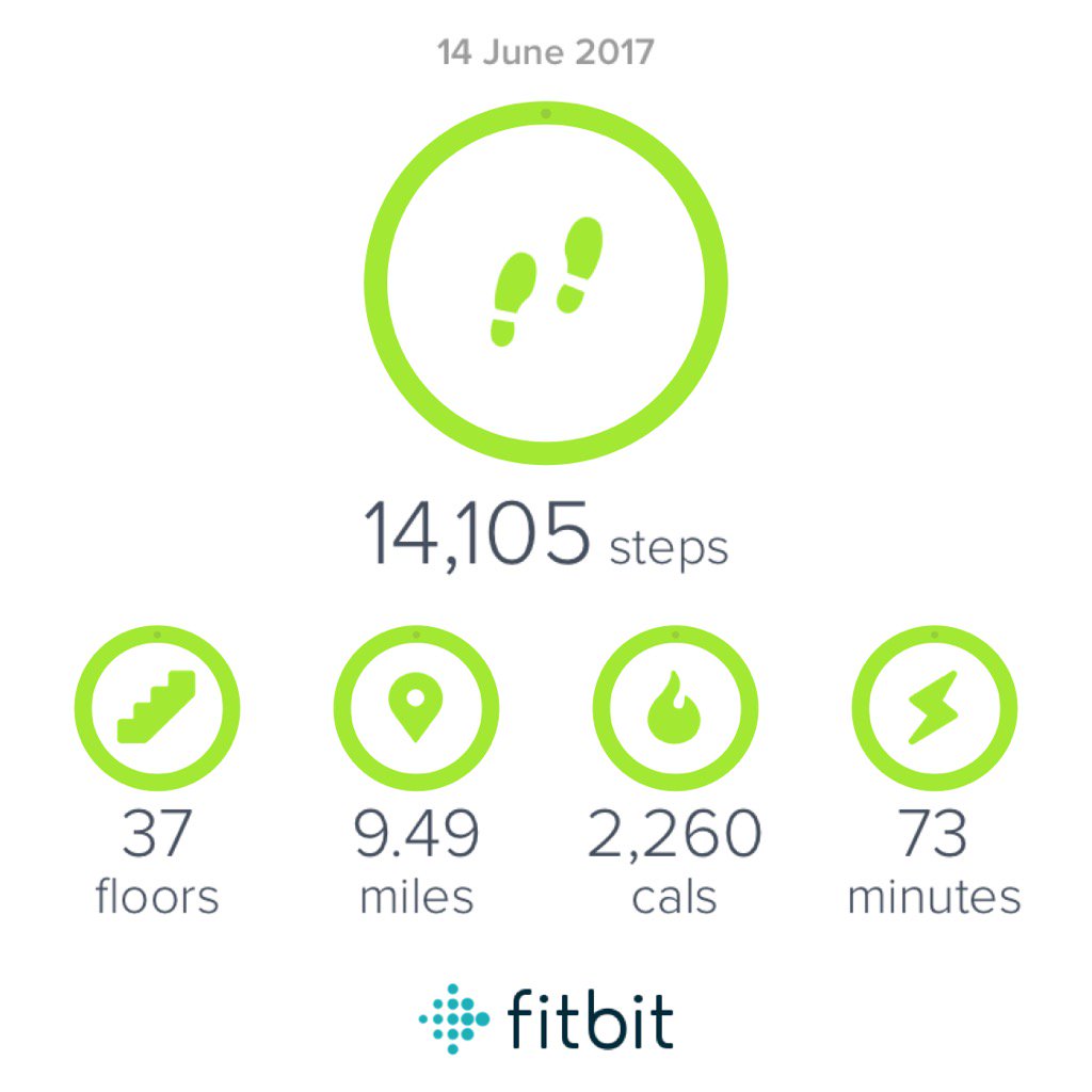 Brackens1's tweet image. #puggled